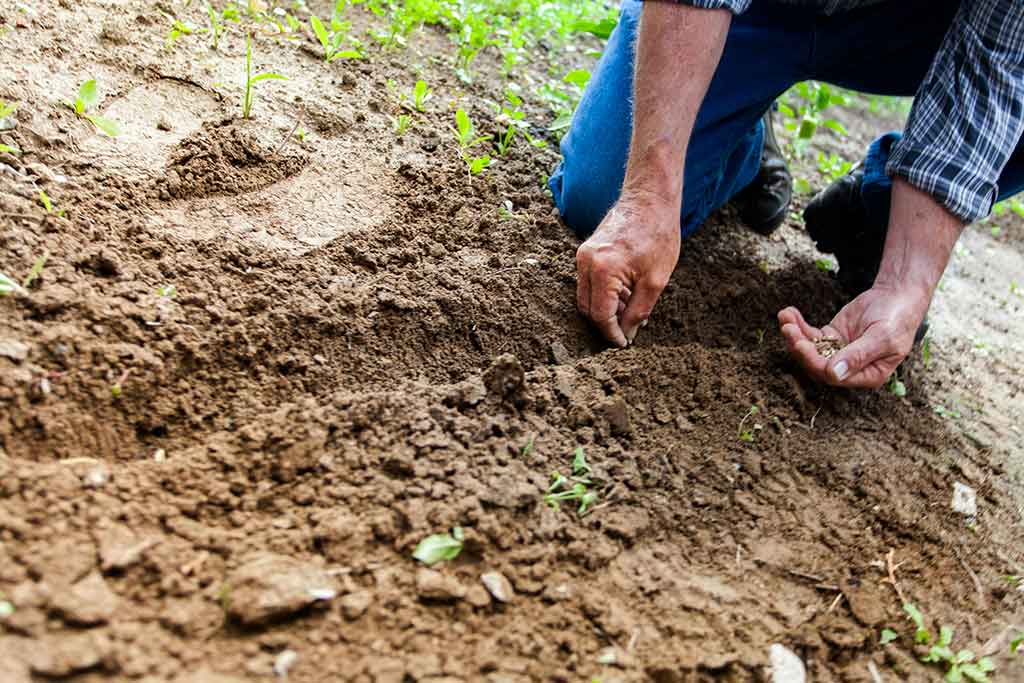 Erosion Control